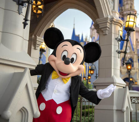 Disney Parks ✘